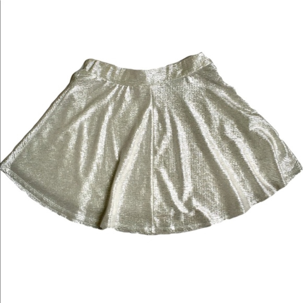 Xhilaration Silver Festival Skirt XL